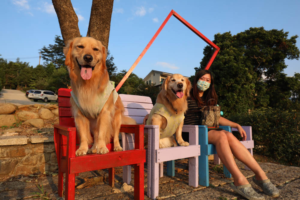 桃園復興鄉美食|山水奇異民宿景觀餐廳。超可愛的哈比村、英式電話亭、寵物友善餐廳 - 第36張圖 桃園復興鄉美食|山水奇異民宿景觀餐廳。超可愛的哈比村、英式電話亭、寵物友善餐廳
