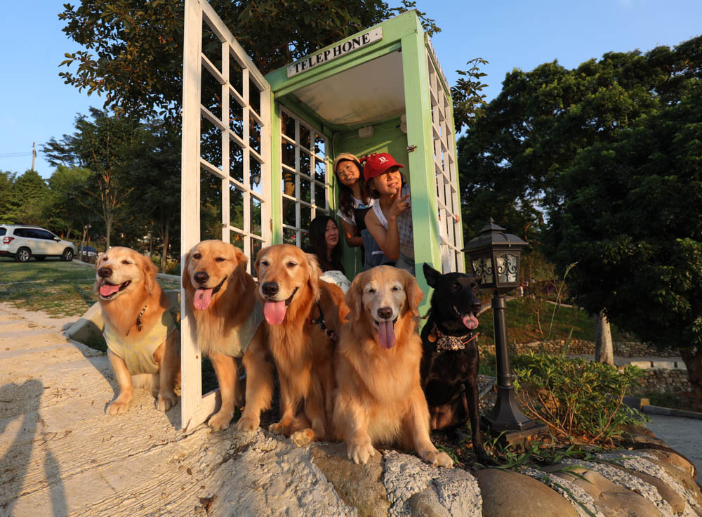 桃園復興鄉美食|山水奇異民宿景觀餐廳。超可愛的哈比村、英式電話亭、寵物友善餐廳 - 第38張圖 桃園復興鄉美食|山水奇異民宿景觀餐廳。超可愛的哈比村、英式電話亭、寵物友善餐廳