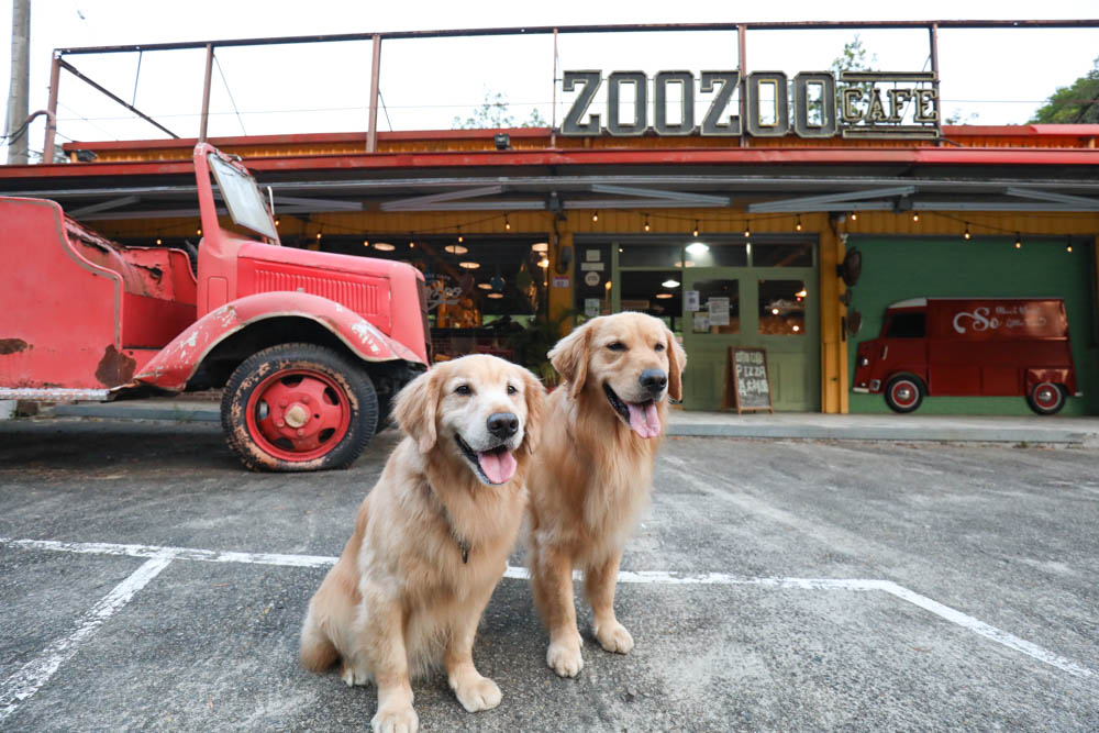 桃園復興鄉美食｜ZOO ZOO CAFE。北橫公路上美式加州復古咖啡廳、窯烤披薩、寵物友善餐廳