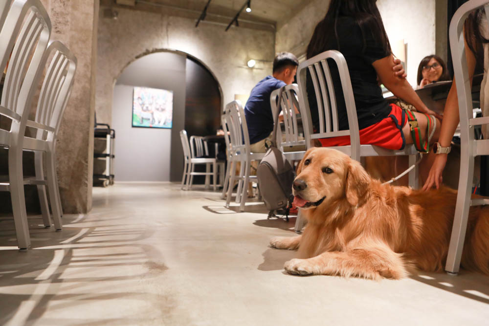 花蓮美食｜梅蘢鎮。海陸燒烤饗宴無菜單料理、寵物友善餐廳、食材新鮮！！