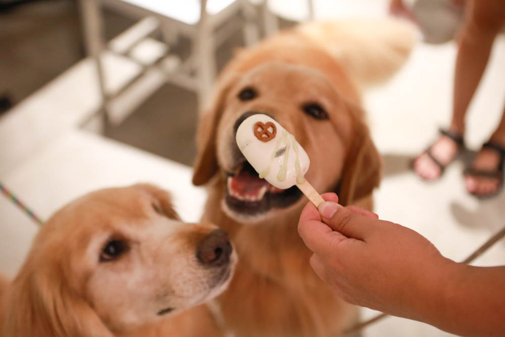 花蓮美食｜梅蘢鎮。海陸燒烤饗宴無菜單料理、寵物友善餐廳、食材新鮮！！