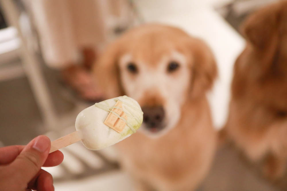 花蓮美食｜梅蘢鎮。海陸燒烤饗宴無菜單料理、寵物友善餐廳、食材新鮮！！