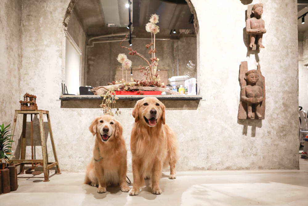 花蓮美食｜梅蘢鎮。海陸燒烤饗宴無菜單料理、寵物友善餐廳、食材新鮮！！
