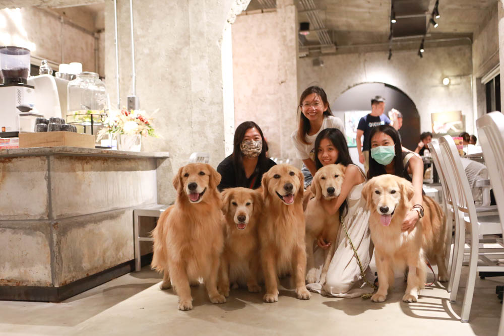 花蓮美食｜梅蘢鎮。海陸燒烤饗宴無菜單料理、寵物友善餐廳、食材新鮮！！