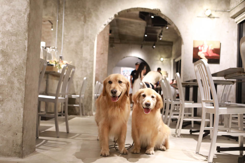 花蓮美食｜梅蘢鎮。海陸燒烤饗宴無菜單料理、寵物友善餐廳、食材新鮮！！