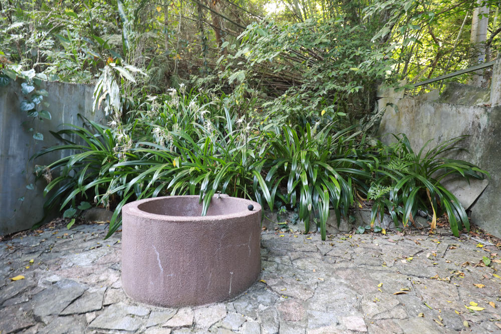 花蓮梯田山民宿|花蓮寵物友善民宿、敞徉在森林中的歐風童話民宿、獲選全球十大絕美房源 - 第30張圖 花蓮梯田山民宿|花蓮寵物友善民宿、敞徉在森林中的歐風童話民宿、獲選全球十大絕美房源