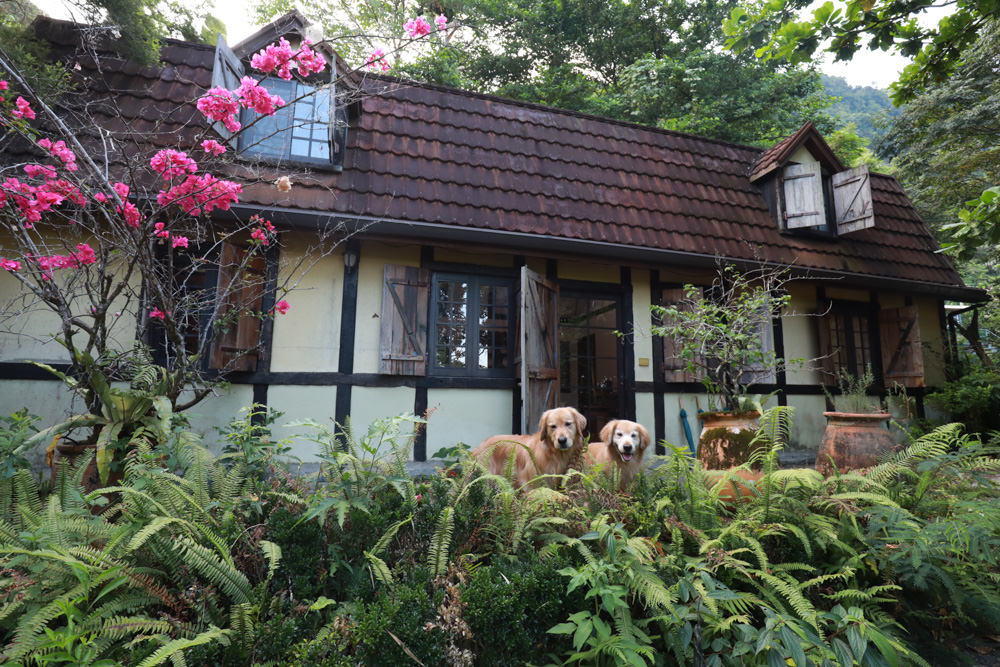花蓮梯田山民宿|花蓮寵物友善民宿、敞徉在森林中的歐風童話民宿、獲選全球十大絕美房源 - 第3張圖 花蓮梯田山民宿|花蓮寵物友善民宿、敞徉在森林中的歐風童話民宿、獲選全球十大絕美房源