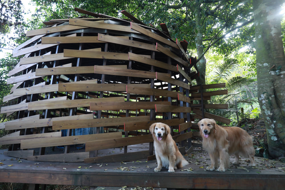 花蓮梯田山民宿|花蓮寵物友善民宿、敞徉在森林中的歐風童話民宿、獲選全球十大絕美房源 - 第12張圖 花蓮梯田山民宿|花蓮寵物友善民宿、敞徉在森林中的歐風童話民宿、獲選全球十大絕美房源