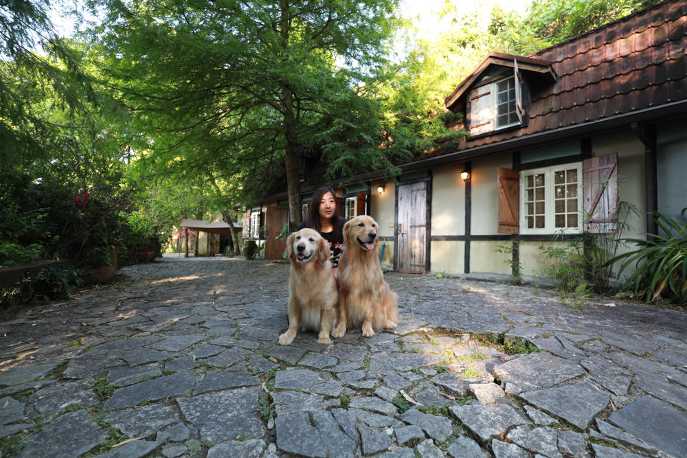 花蓮梯田山民宿|花蓮寵物友善民宿、敞徉在森林中的歐風童話民宿、獲選全球十大絕美房源 - 第2張圖 花蓮梯田山民宿|花蓮寵物友善民宿、敞徉在森林中的歐風童話民宿、獲選全球十大絕美房源