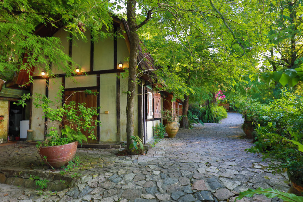 花蓮梯田山民宿|花蓮寵物友善民宿、敞徉在森林中的歐風童話民宿、獲選全球十大絕美房源 - 第7張圖 花蓮梯田山民宿|花蓮寵物友善民宿、敞徉在森林中的歐風童話民宿、獲選全球十大絕美房源