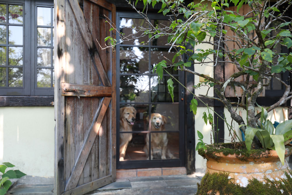 花蓮梯田山民宿|花蓮寵物友善民宿、敞徉在森林中的歐風童話民宿、獲選全球十大絕美房源 - 第14張圖 花蓮梯田山民宿|花蓮寵物友善民宿、敞徉在森林中的歐風童話民宿、獲選全球十大絕美房源