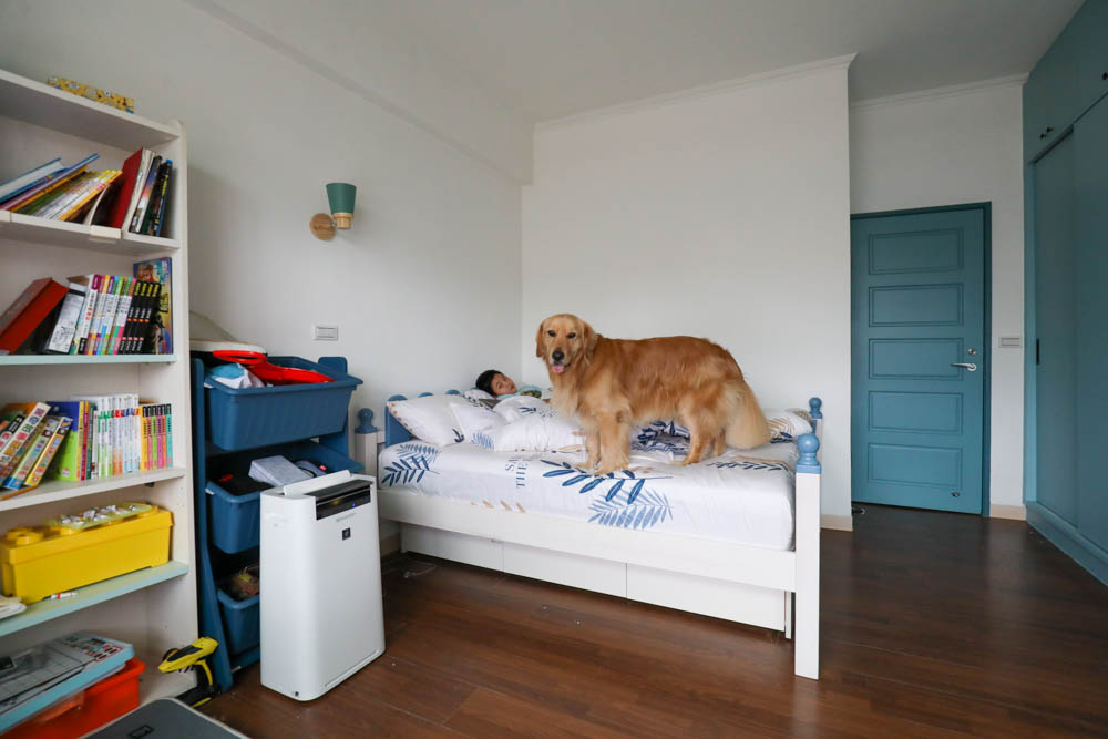 MIT iLook 100%精梳棉兩用被冬包組｜頂級純棉五件式冬夏床組、可拆式兩用墊被、天然吸濕排汗、寵物家庭床包寢具首選推薦！