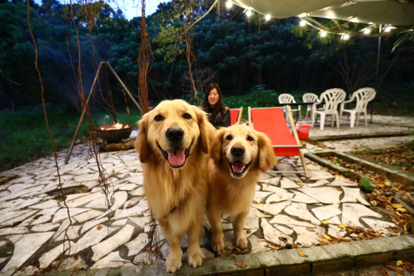 花蓮新景點|嘻餐町-賣火柴的餐桌。森林系營火餐桌、浪漫森林中享受奢華營火晚餐服務、寵物友善 - 第6張圖 花蓮新景點|嘻餐町-賣火柴的餐桌。森林系營火餐桌、浪漫森林中享受奢華營火晚餐服務、寵物友善