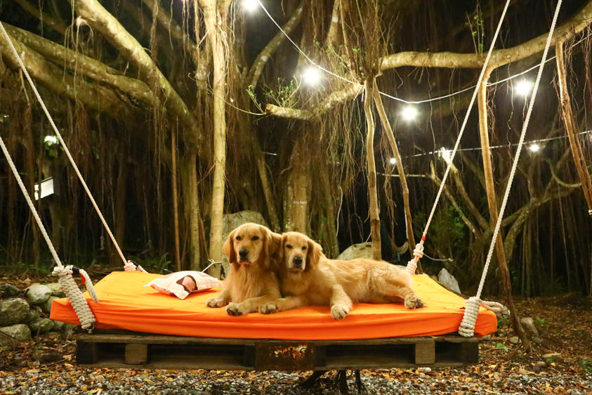 花蓮新景點|嘻餐町-賣火柴的餐桌。森林系營火餐桌、浪漫森林中享受奢華營火晚餐服務、寵物友善 - 第39張圖 花蓮新景點|嘻餐町-賣火柴的餐桌。森林系營火餐桌、浪漫森林中享受奢華營火晚餐服務、寵物友善