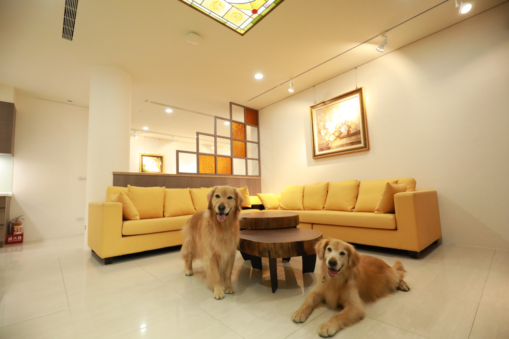 苗栗南庄｜樂吧溪畔莊園happy tails。結合寵物友善餐廳、寵物游泳池、寵物友善民宿、寵物安親的多元化豪華寵物園區