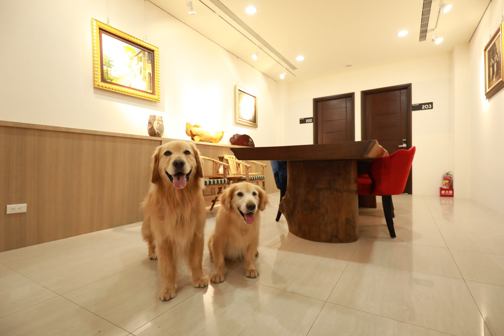 苗栗南庄｜樂吧溪畔莊園happy tails。結合寵物友善餐廳、寵物游泳池、寵物友善民宿、寵物安親的多元化豪華寵物園區