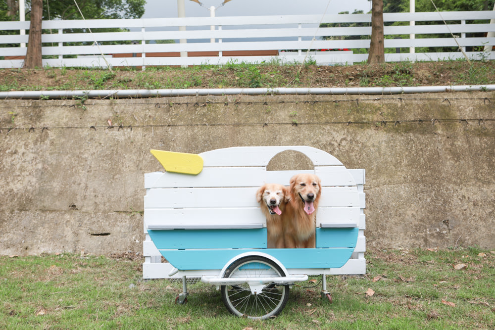 苗栗南庄｜樂吧溪畔莊園happy tails。結合寵物友善餐廳、寵物游泳池、寵物友善民宿、寵物安親的多元化豪華寵物園區