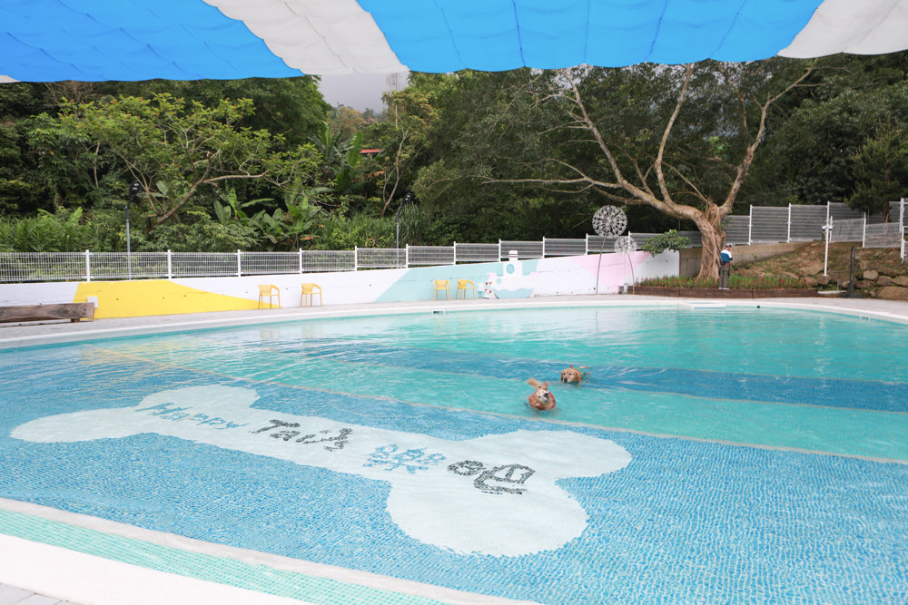 苗栗南庄｜樂吧溪畔莊園happy tails。結合寵物友善餐廳、寵物游泳池、寵物友善民宿、寵物安親的多元化豪華寵物園區