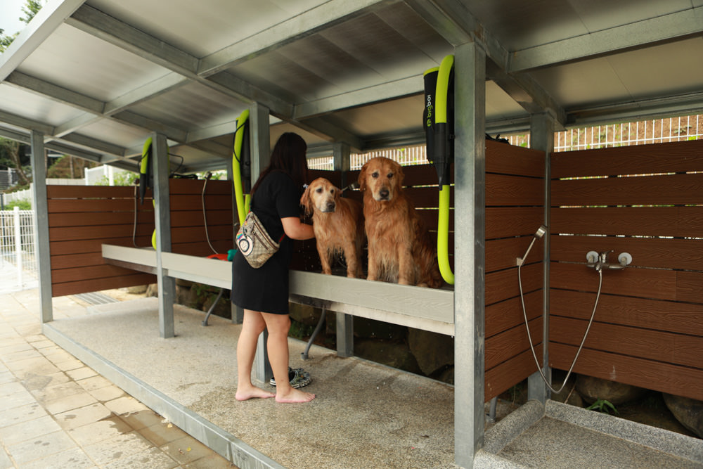 苗栗南庄｜樂吧溪畔莊園happy tails。結合寵物友善餐廳、寵物游泳池、寵物友善民宿、寵物安親的多元化豪華寵物園區