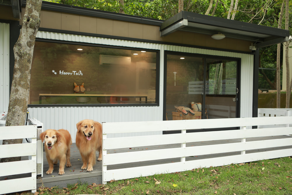 苗栗南庄｜樂吧溪畔莊園happy tails。結合寵物友善餐廳、寵物游泳池、寵物友善民宿、寵物安親的多元化豪華寵物園區