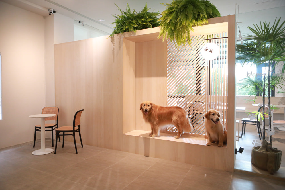 苗栗南庄｜樂吧溪畔莊園happy tails。結合寵物友善餐廳、寵物游泳池、寵物友善民宿、寵物安親的多元化豪華寵物園區