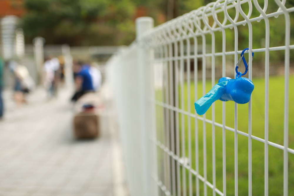 苗栗南庄｜樂吧溪畔莊園happy tails。結合寵物友善餐廳、寵物游泳池、寵物友善民宿、寵物安親的多元化豪華寵物園區