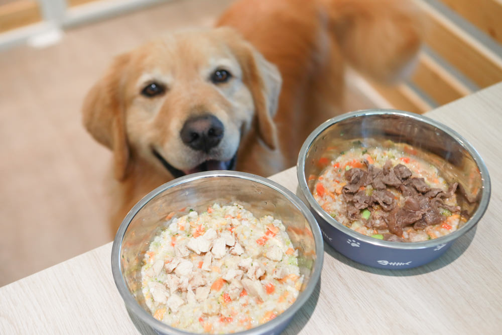 苗栗南庄｜樂吧溪畔莊園happy tails。結合寵物友善餐廳、寵物游泳池、寵物友善民宿、寵物安親的多元化豪華寵物園區