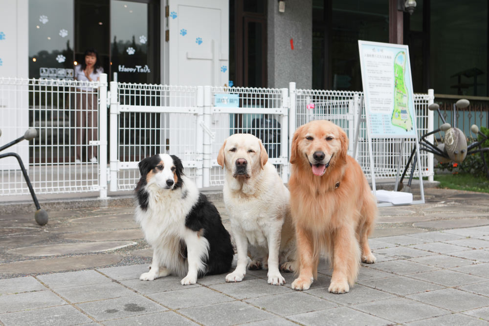 苗栗南庄｜樂吧溪畔莊園happy tails。結合寵物友善餐廳、寵物游泳池、寵物友善民宿、寵物安親的多元化豪華寵物園區