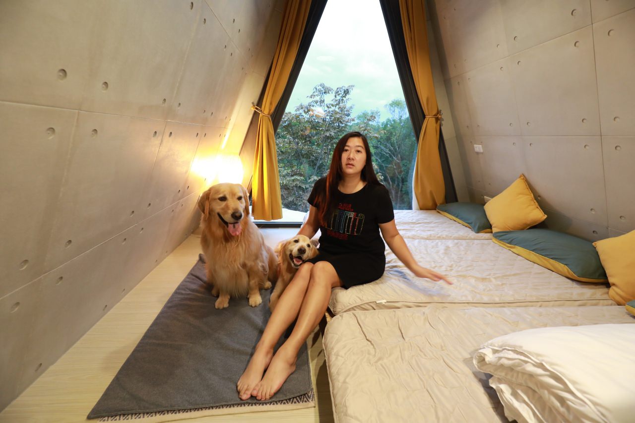 台中東勢民宿｜樹之間民宿。寵物友善民宿、曙屋唯美樹屋、森林系山林獨棟小木屋