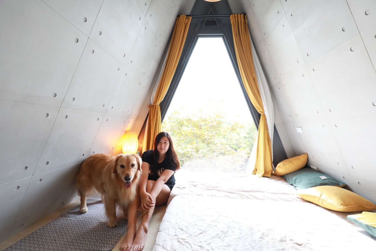 台中東勢民宿｜樹之間民宿。寵物友善民宿、曙屋唯美樹屋、森林系山林獨棟小木屋