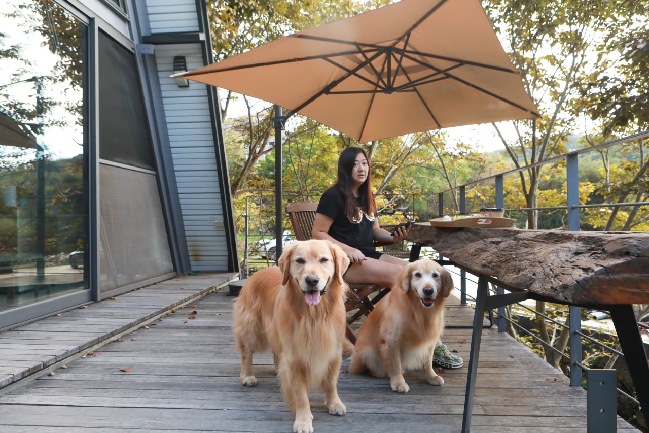 台中東勢民宿｜樹之間民宿。寵物友善民宿、曙屋唯美樹屋、森林系山林獨棟小木屋