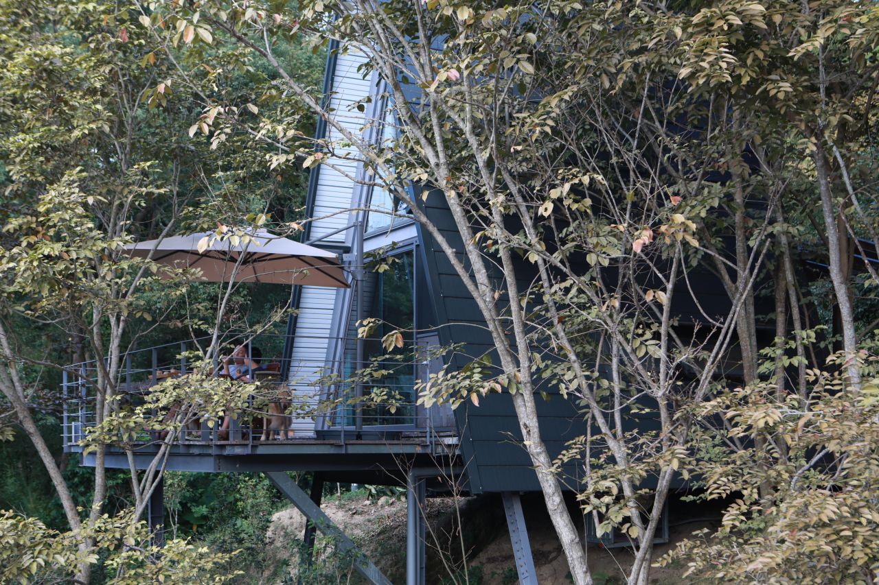 台中東勢民宿｜樹之間民宿。寵物友善民宿、曙屋唯美樹屋、森林系山林獨棟小木屋