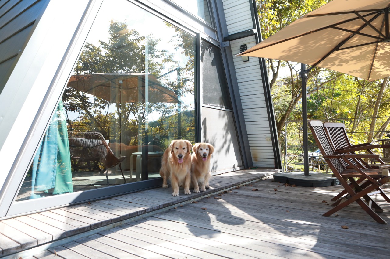 台中東勢民宿｜樹之間民宿。寵物友善民宿、曙屋唯美樹屋、森林系山林獨棟小木屋