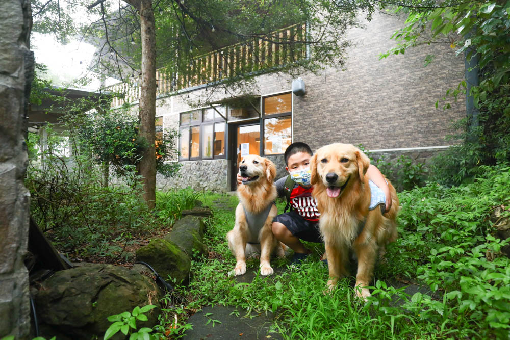 新北樹林景觀餐廳|TREE TOP KAFFA 樹頂上。秘境咖啡廳、寵物友善餐廳、網美打卡百萬山嵐美景、絕美夜景 - 第2張圖 新北樹林景觀餐廳|TREE TOP KAFFA 樹頂上。秘境咖啡廳、寵物友善餐廳、網美打卡百萬山嵐美景、絕美夜景