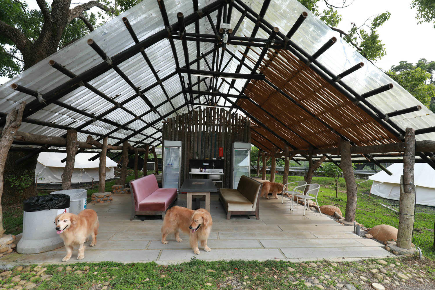 苗栗卓蘭懶人露營|橘舍三食。寵物友善豪華露營、山里廚房無菜單料理、一泊三食DIY、免搭帳奢華露營! - 第13張圖 苗栗卓蘭懶人露營|橘舍三食。寵物友善豪華露營、山里廚房無菜單料理、一泊三食DIY、免搭帳奢華露營!