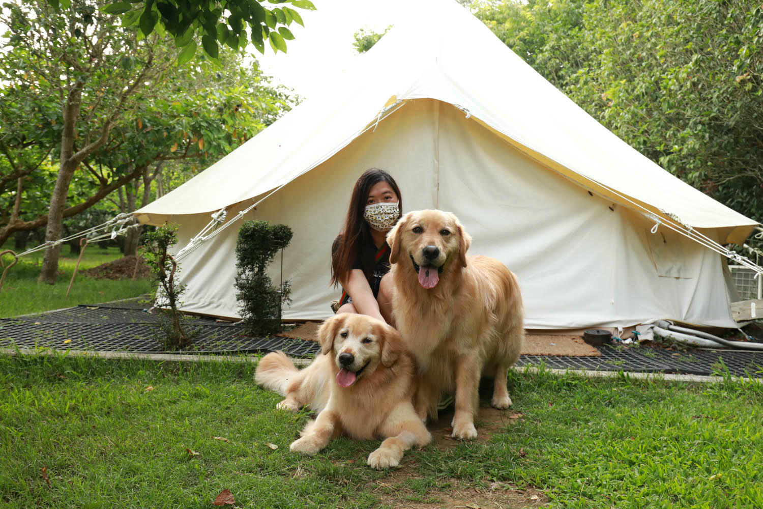 苗栗卓蘭懶人露營|橘舍三食。寵物友善豪華露營、山里廚房無菜單料理、一泊三食DIY、免搭帳奢華露營! - 第25張圖 苗栗卓蘭懶人露營|橘舍三食。寵物友善豪華露營、山里廚房無菜單料理、一泊三食DIY、免搭帳奢華露營!