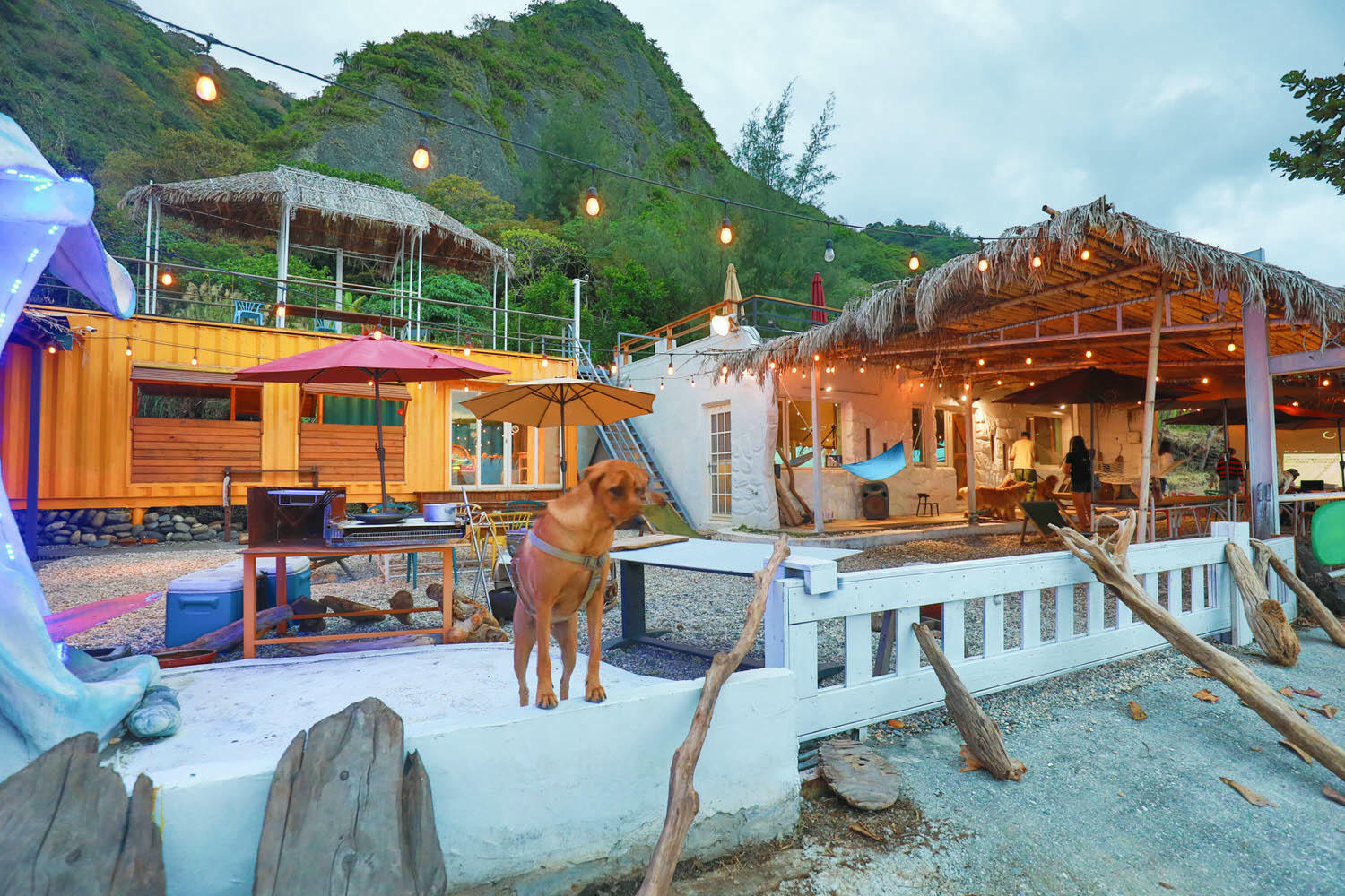 毛小海洋俱樂部｜花蓮鹽寮。花蓮寵物友善民宿、花蓮海景包棟民宿、露營風格美學、野營、星空電影院