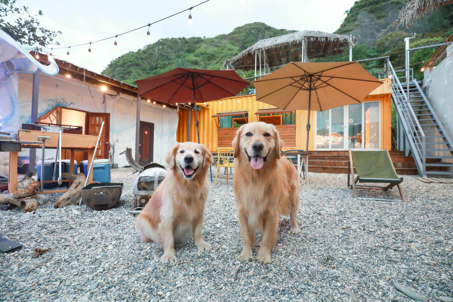 毛小海洋俱樂部｜花蓮鹽寮。花蓮寵物友善民宿、花蓮海景包棟民宿、露營風格美學、野營、星空電影院