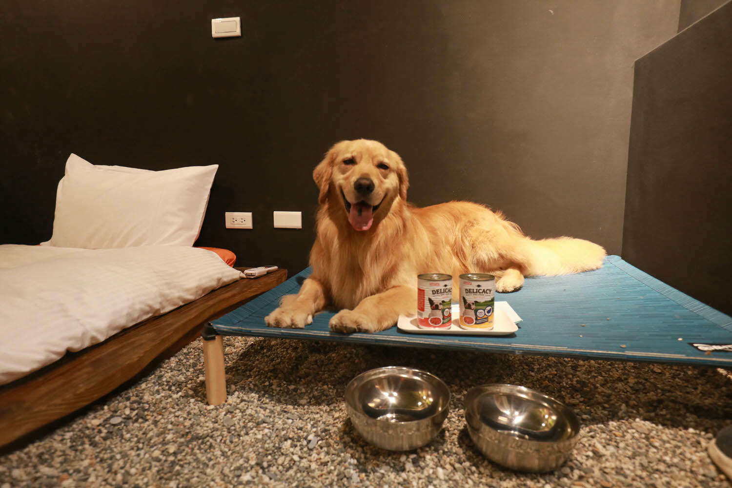 毛小海洋俱樂部｜花蓮鹽寮。花蓮寵物友善民宿、花蓮海景包棟民宿、露營風格美學、野營、星空電影院