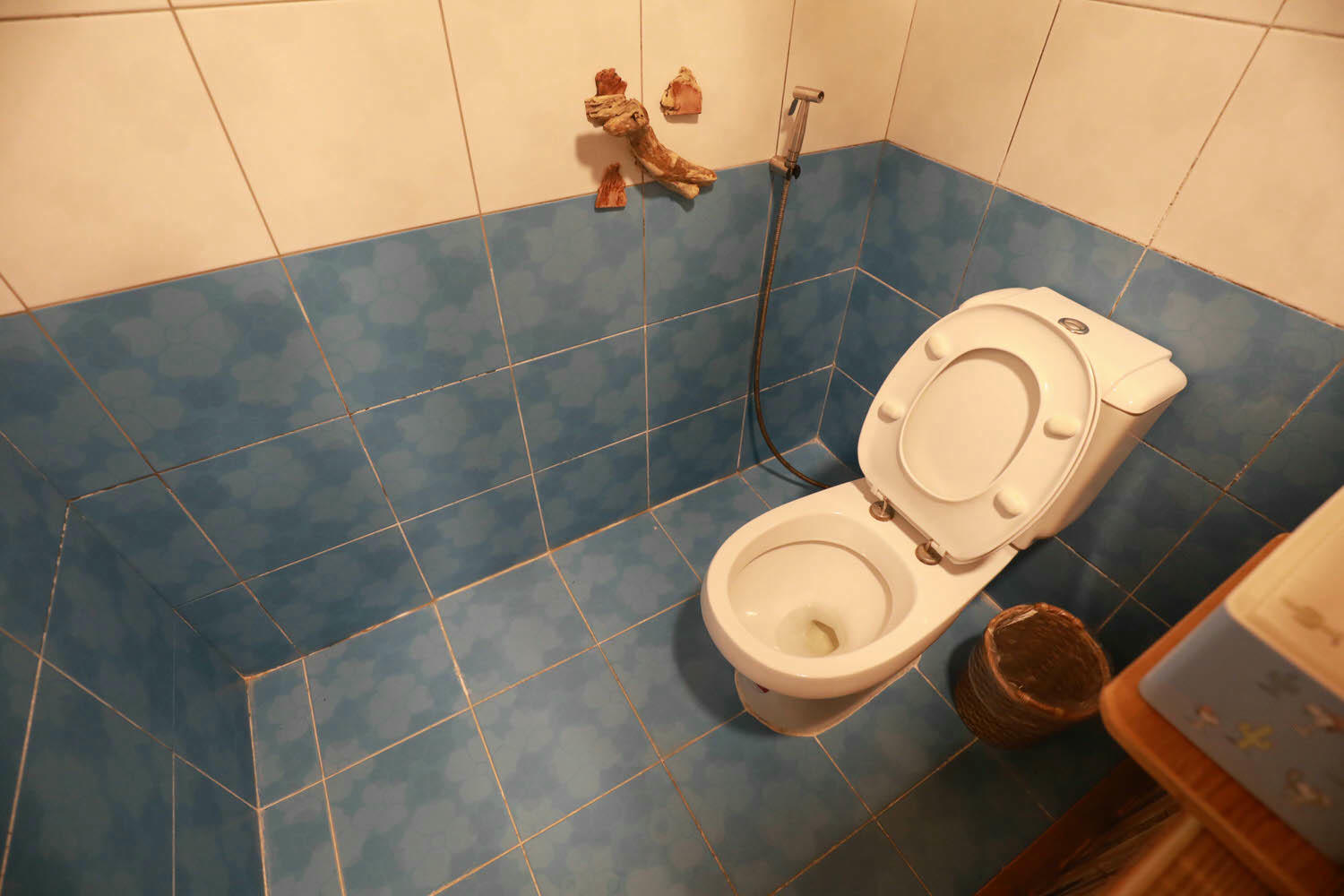 毛小海洋俱樂部｜花蓮鹽寮。花蓮寵物友善民宿、花蓮海景包棟民宿、露營風格美學、野營、星空電影院