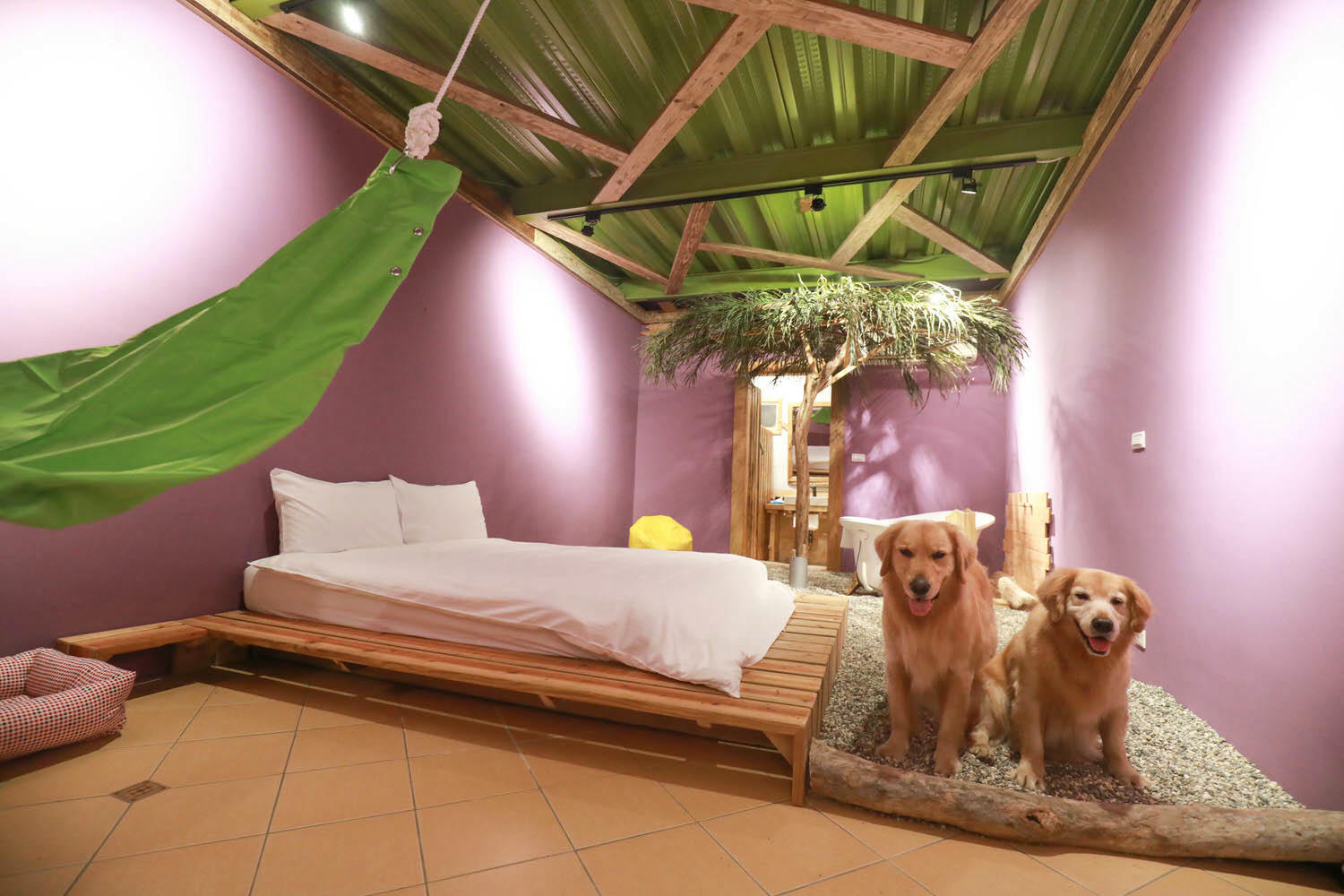 毛小海洋俱樂部｜花蓮鹽寮。花蓮寵物友善民宿、花蓮海景包棟民宿、露營風格美學、野營、星空電影院