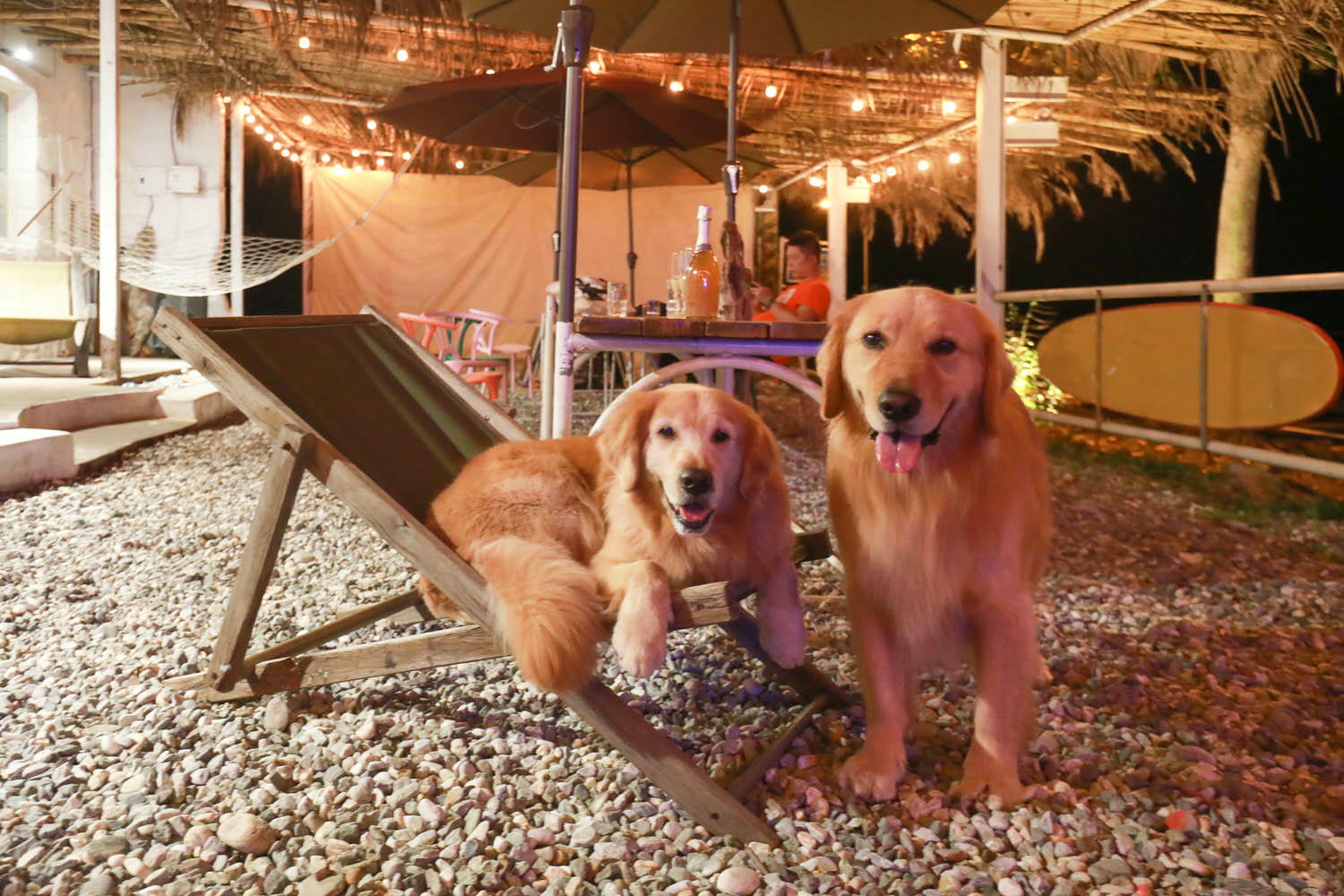 毛小海洋俱樂部｜花蓮鹽寮。花蓮寵物友善民宿、花蓮海景包棟民宿、露營風格美學、野營、星空電影院