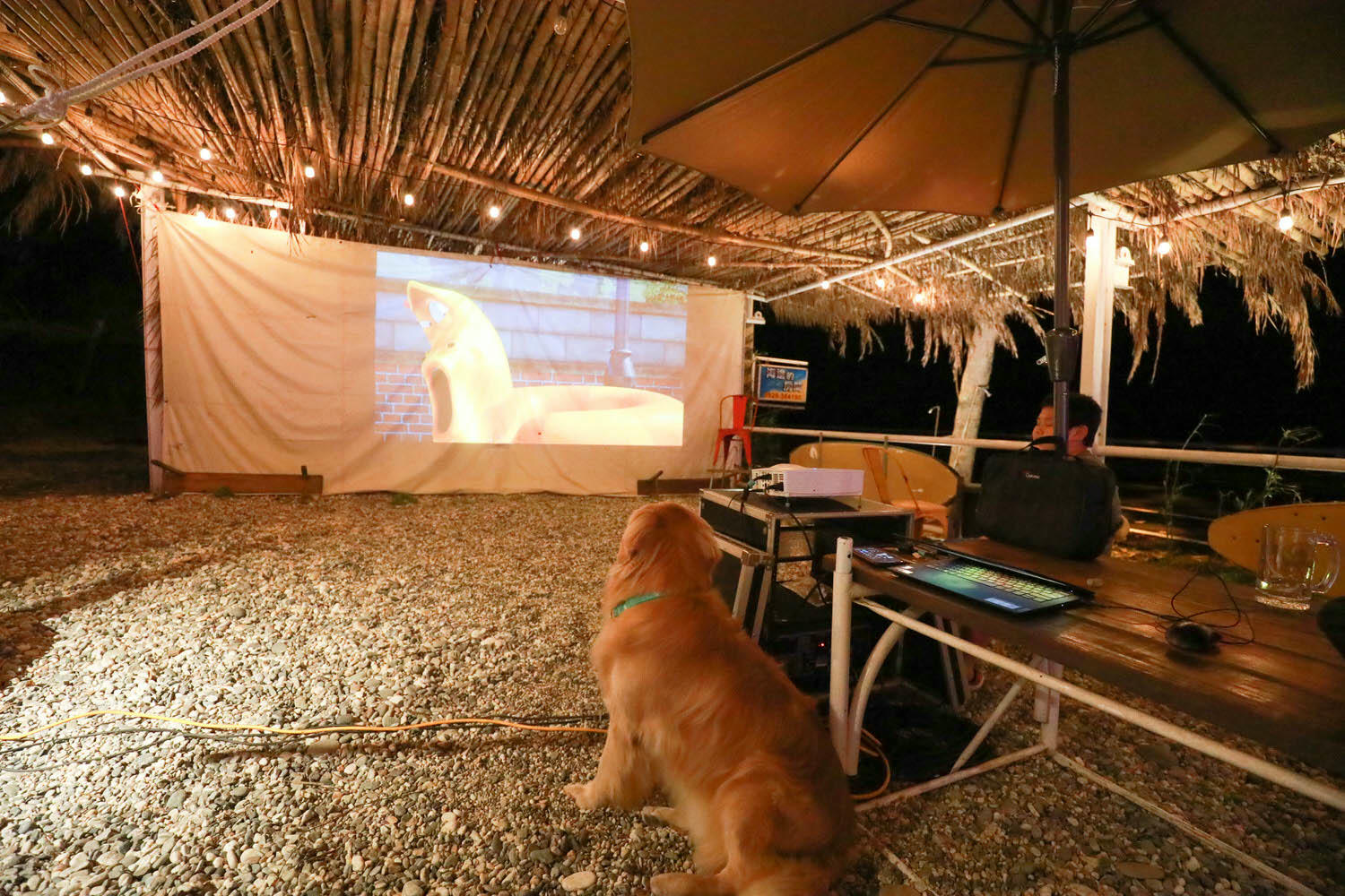 毛小海洋俱樂部｜花蓮鹽寮。花蓮寵物友善民宿、花蓮海景包棟民宿、露營風格美學、野營、星空電影院