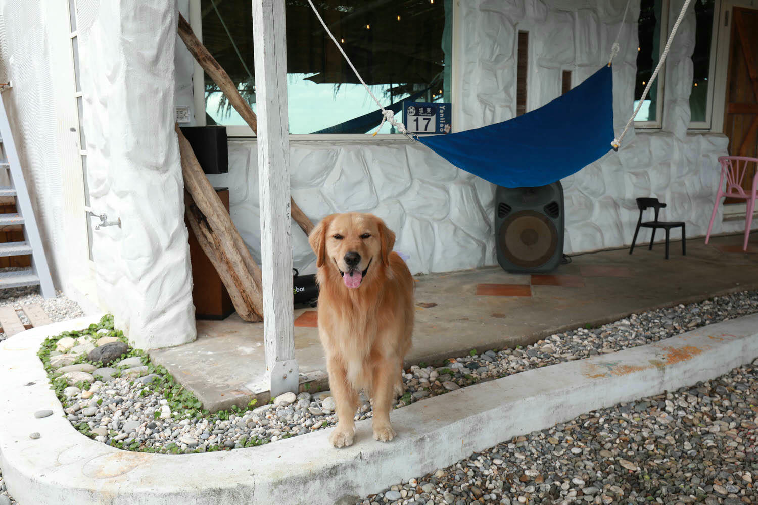 毛小海洋俱樂部｜花蓮鹽寮。花蓮寵物友善民宿、花蓮海景包棟民宿、露營風格美學、野營、星空電影院