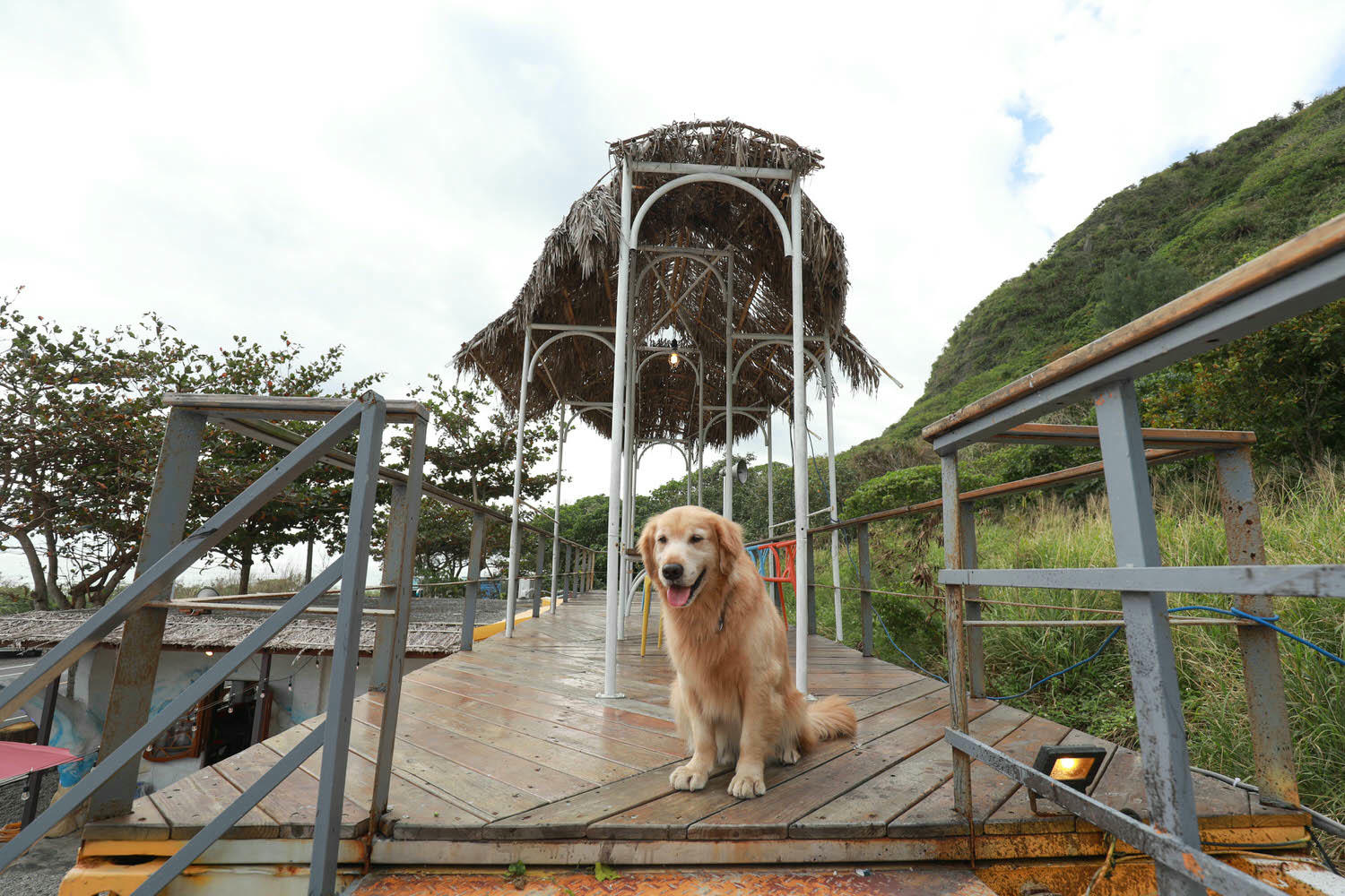 毛小海洋俱樂部｜花蓮鹽寮。花蓮寵物友善民宿、花蓮海景包棟民宿、露營風格美學、野營、星空電影院