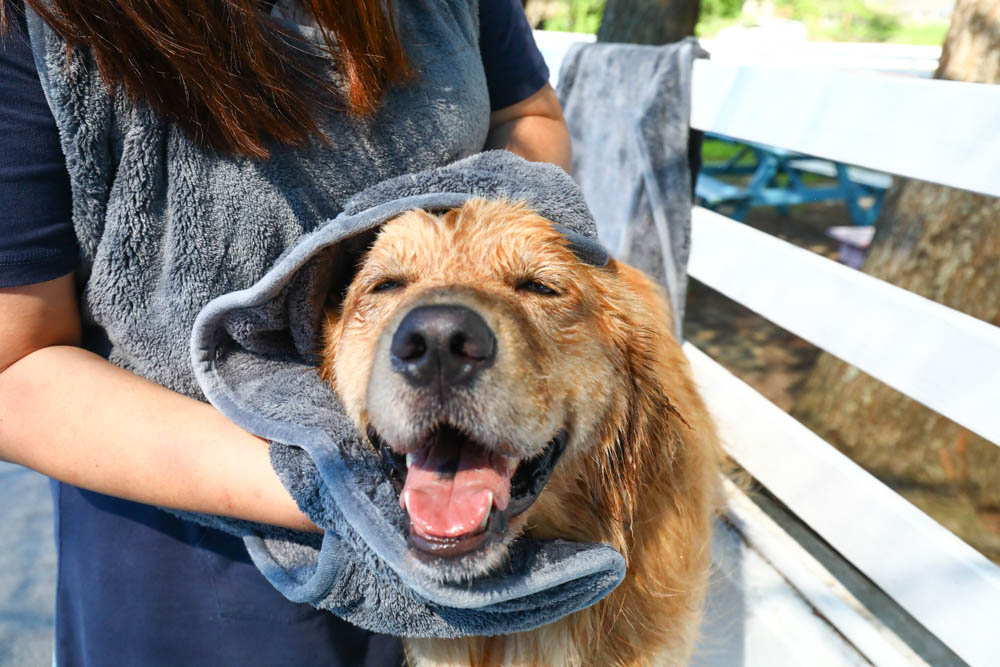 Petaum Apron Towel 寵物專用手感貼身吸水毛巾。多功能設計！可當洗澡圍裙、擦乾毛巾，還可以變身寵物浴袍、寵物洗澡游泳必備！