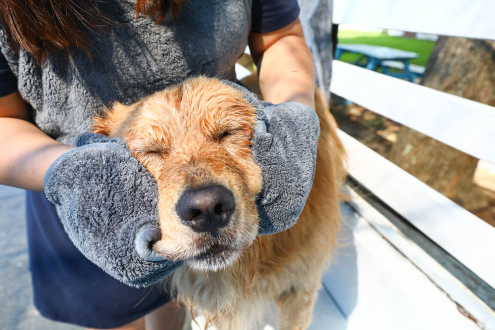 Petaum Apron Towel 寵物專用手感貼身吸水毛巾。多功能設計！可當洗澡圍裙、擦乾毛巾，還可以變身寵物浴袍、寵物洗澡游泳必備！