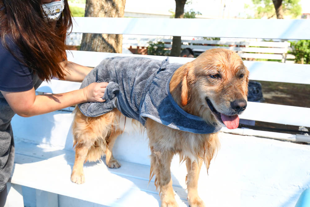 Petaum Apron Towel 寵物專用手感貼身吸水毛巾。多功能設計！可當洗澡圍裙、擦乾毛巾，還可以變身寵物浴袍、寵物洗澡游泳必備！