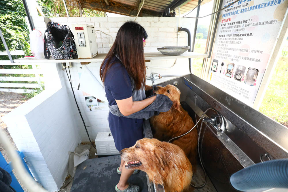 Petaum Apron Towel 寵物專用手感貼身吸水毛巾。多功能設計！可當洗澡圍裙、擦乾毛巾，還可以變身寵物浴袍、寵物洗澡游泳必備！