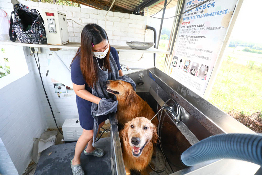 Petaum Apron Towel 寵物專用手感貼身吸水毛巾。多功能設計！可當洗澡圍裙、擦乾毛巾，還可以變身寵物浴袍、寵物洗澡游泳必備！
